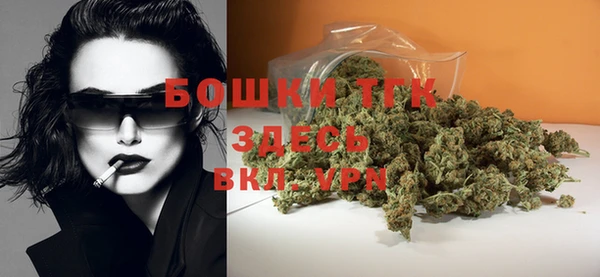 стаф Сатка