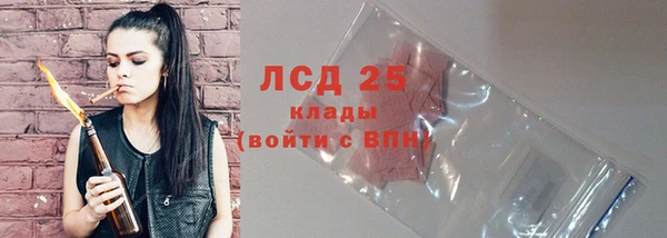 стаф Сатка